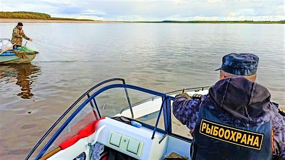 В Сургуте завели 20 уголовных дел на рыбаков