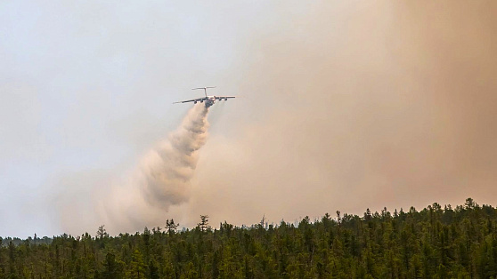 Все лесные пожары потушены в Югре