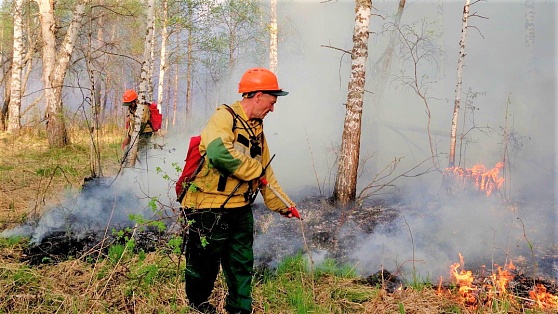 Почти 1000 пожарных тушат огонь в югорской тайге