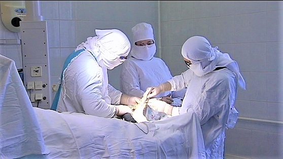 Ортопед-травматолог из Сургута вместо отпуска отправился добровольцем в Мариуполь