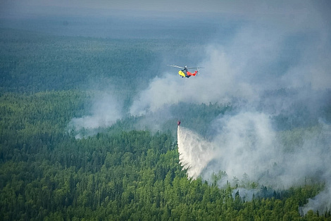 В 2023 году площадь лесных пожаров в Югре сократилась в 4 раза