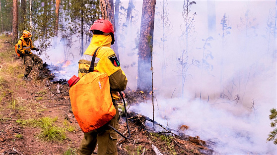 В Югре за сутки ликвидировали 10 лесных пожаров