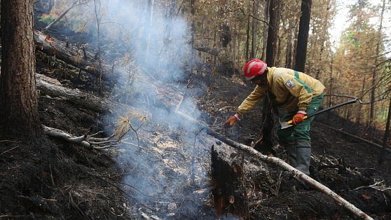 В Югре борются с 13 лесными пожарами