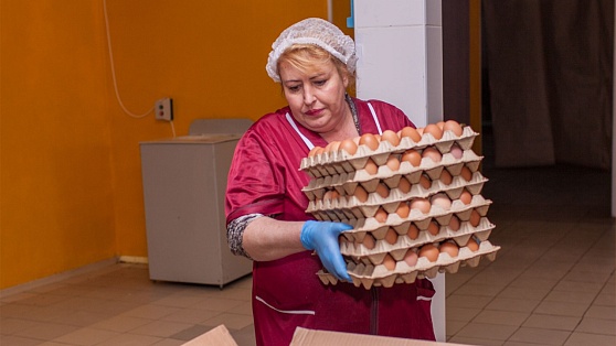 Благодаря окружной поддержке на Нижневартовской птицефабрике появятся два новых рабочих места