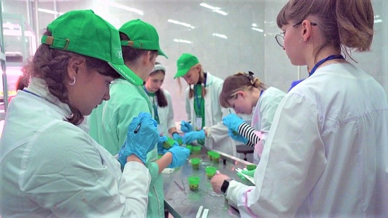 В Югре школьников научили клонировать растения