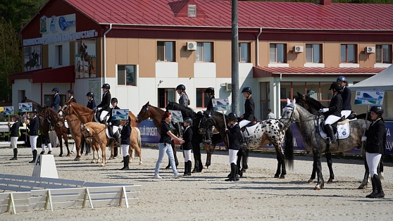 Лошадям на соревнованиях в Ханты-Мансийске заплетают «шишечки»