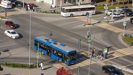 Жители Сургута проголосуют за новую схему работы общественного транспорта