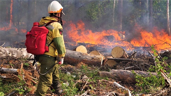 В лесах Югры сохраняется противопожарный режим