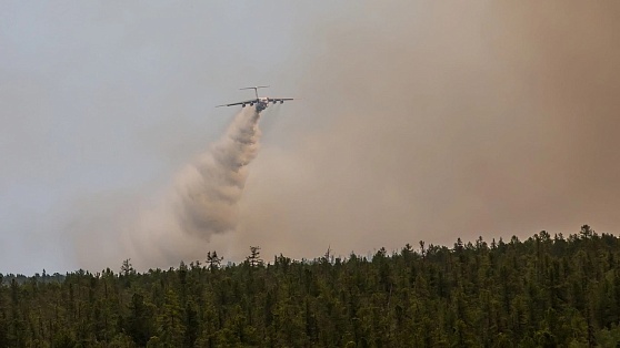 В Югре тушат 8 лесных пожаров