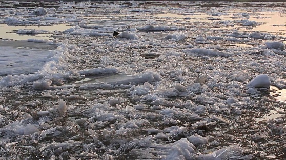 Ледоход уже в Югре: Иртыш вскрылся в Ханты-Мансийском районе